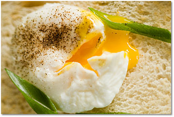 the easy way to cook a poached egg