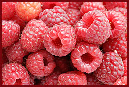 raspberries