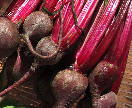 fresh baby beets (beetroot)