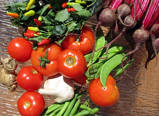 tomatoes, snow peas, green beans, chillis and baby beets