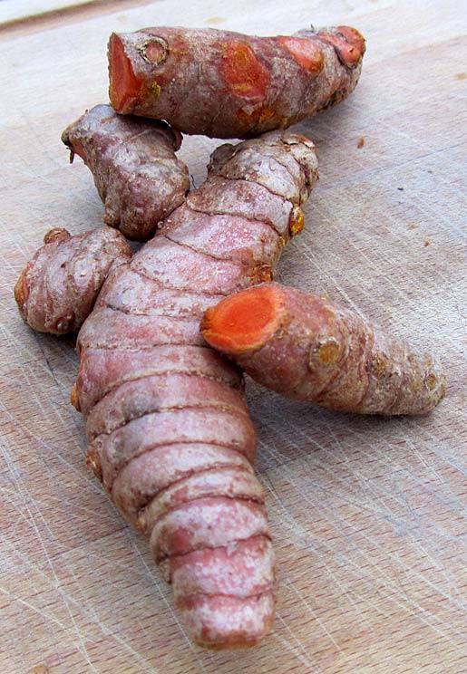fresh turmeric