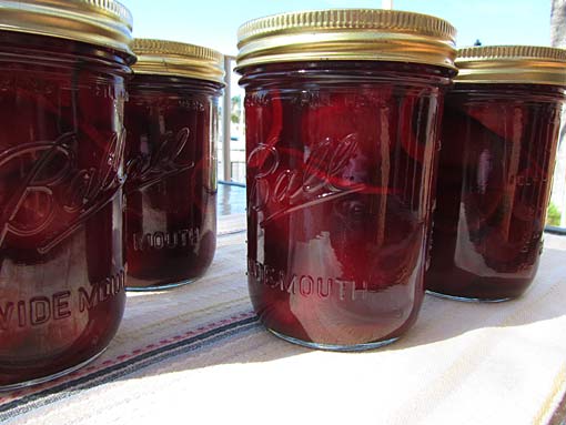 baby pickled beets