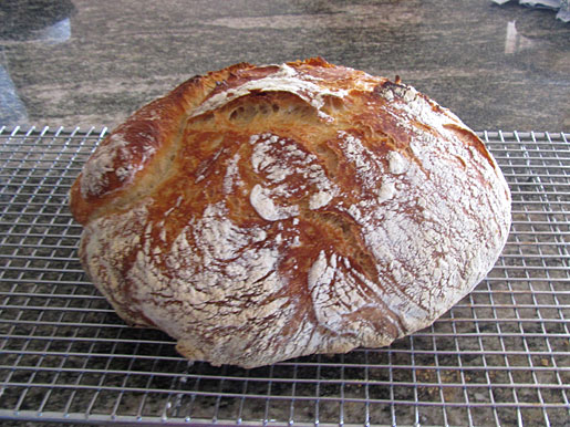 no-knead bread