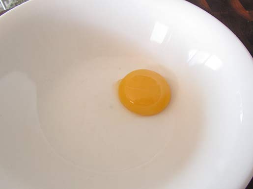 egg yolk