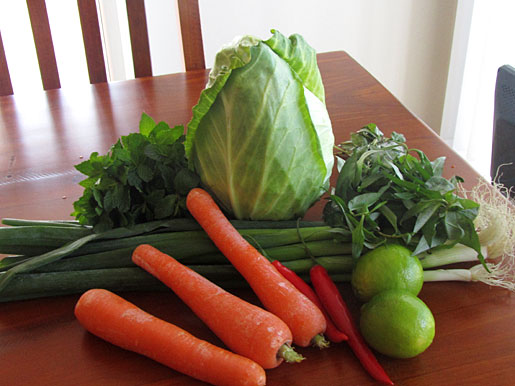 ingredients for a Vietnamese Mint Salad