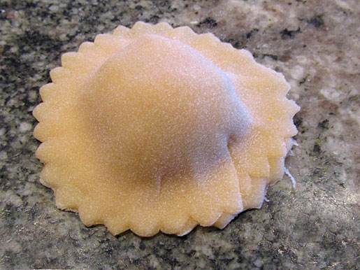 finished ravioli