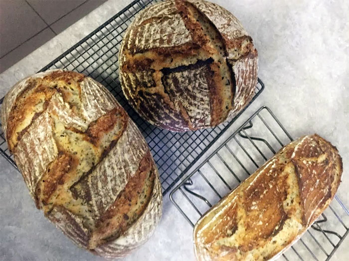 Super Sourdough Sally