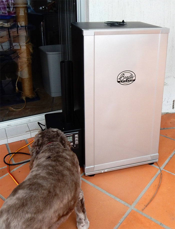 Outside my kitchen is my new Bradley Smoker